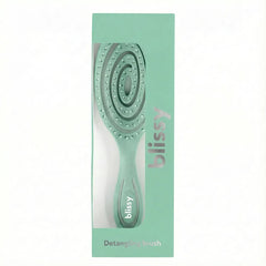 Blissy Detangling Brush in Teal