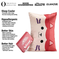 Gabby's Dollhouse Baby Box Junior Standard Pillowcase