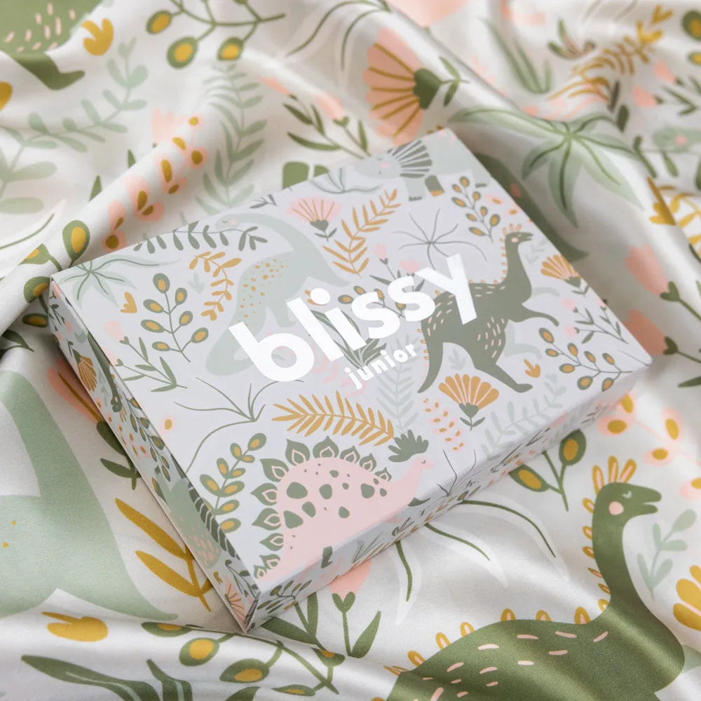 Dinosaur Youth Pillowcase