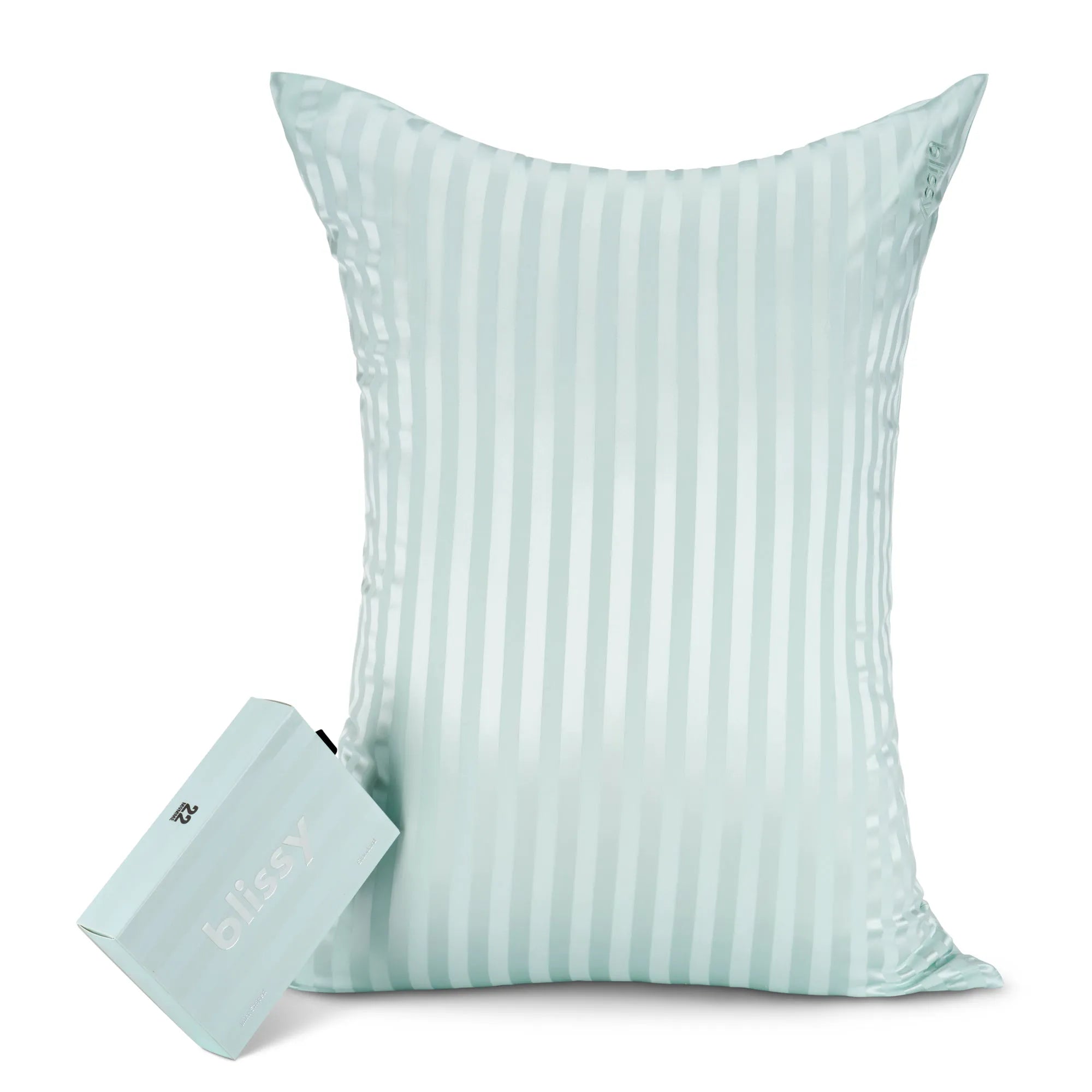 King Pillowcase in Mint Striped