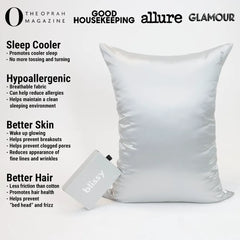 Standard Pillowcase in Silver